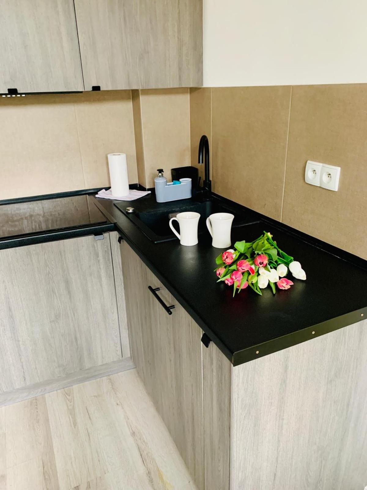 Apartament Fraszka U Kochanowskiego Ac Progres Stary Toruń Екстериор снимка